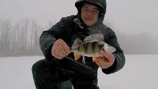 За окунем - в Александровский затон. Самарская область.
