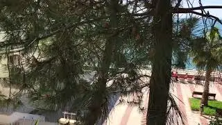 Сочи санаторий Авангард ч.1  04.2018