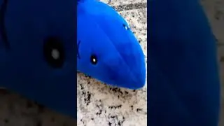 ситуация в маршрутке 