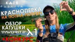 КРАСНОПЕРКА НА ПОПЛА-ПОППЕР! Обзор катушки FAVORITE X1 + КОНКУРС! Обзор магазина FISHUNTER!