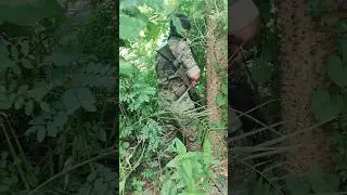 Jungle raid #indianarmy #armyentry #rito03vlog #jungle #raid #commando #army #stfcommando #police