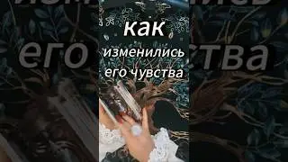 #таробудущиймуж #вызовлюбимого #мчд