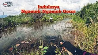 Ganggu Beongan Gabus