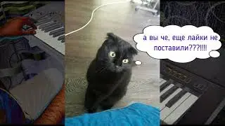 Сектор Газа + Кавказская пленница