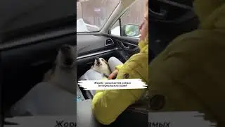 Пес Жорик главной акушерки Татьяны Карабет
