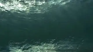 Slow Motion Wave - Incredible Perspective Inside The Barrel - For This Wave