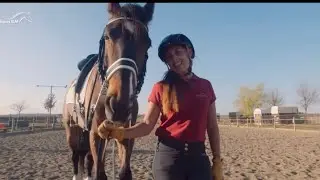 Basic Principles of Horseback Riding