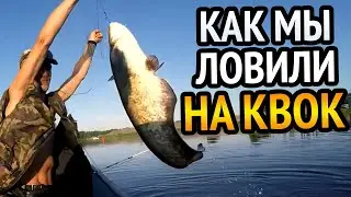 Поклёвки и вываживание СОМА. Ловля СОМА НА КВОК. Сом на квок.