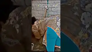 Hot Girl vlogging video