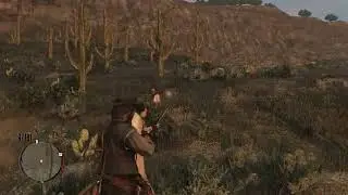 Possible Arthur Reference?