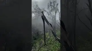 Pulang dari Lawu setelah menikmati suasana ini#viral #hiking #gunung #mountains #fyp #pendaki #fy