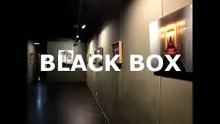 PRESENTACION BLACKBOX GALLERY VIDEO2