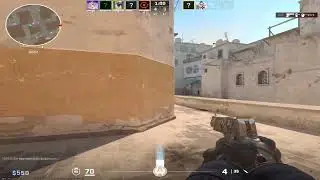🤪    🤪     🤪