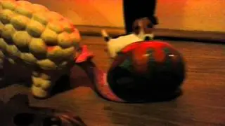 Hull's Turbo Snail busting some moves
