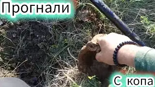 МЕТАЛЛОКОП. ОХРАНА ВЫГНАЛА С КОПА.