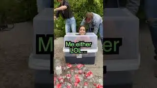 The reaction is...crazy. 🤪