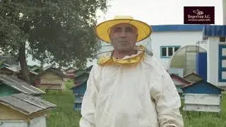 Салимьян