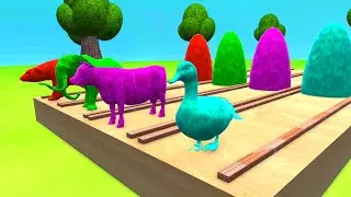 Fountain Crossing Animal Transformation | Elephant | Cow | Polar bear | Duck | Animal Cartoon