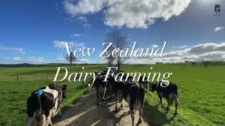 ZARI FARM