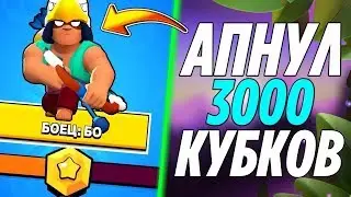 Апнул 3000 кубков в Brawl Stars