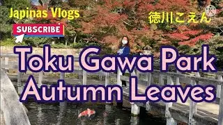 NAGOYA TOKU GAWA PARK#PART 2