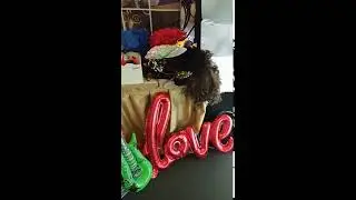 Fotolustro, selfie mirror, magiczne lustro, Dworek Czardasz beeba.pl