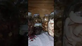 Как сохранить ягоды, грибы и фрукты.