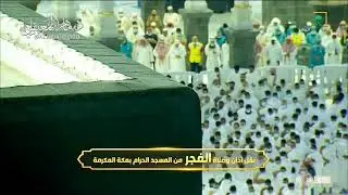 أداء مُبهر وتحبير بديع للقارئ ماهر المعيقلي   سورة السجدة   بدون حقوق
