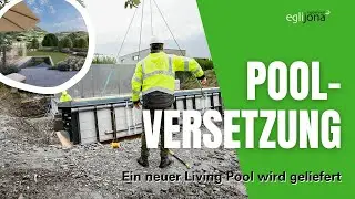 Versetzung eines chemiefreien Living Pools | egli jona ag