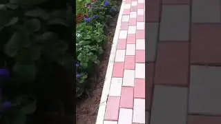Снаружи дома