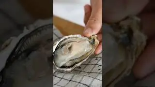 How To Open Oysters! Shucking 101