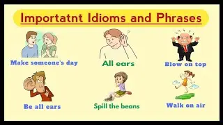 Important idioms and phrases | English phrases for daily use