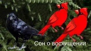 Сон о скором приходе Иисуса