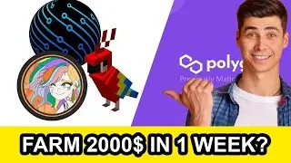 Polygon Matic: farmed 2000$ in less then 1 week and lost it in 1 day