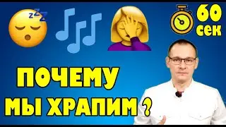 ПРИЧИНЫ ХРАПА.  Тело человека за 60 секунд