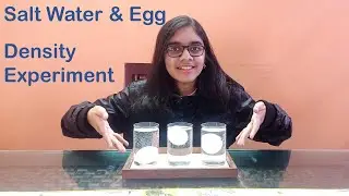 Salt Water And Egg Experiment | Floating Egg Density Experiment | Why Does Egg Float In Salty Water?