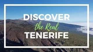 Discover the Real Tenerife