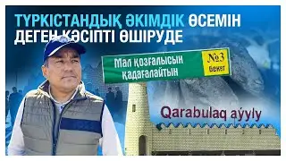 Түркістандық әкімдік өсемін деген кәсіпті өшіруде