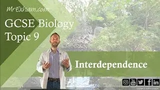 Interdependence - GCSE Biology (9-1) 9.3