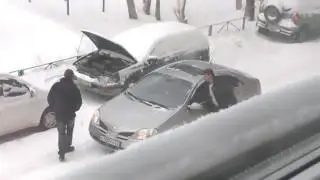 Быдло