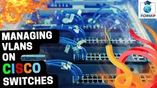 VTP vs DTP: A Beginner's Guide to Managing VLANs on Cisco Switches