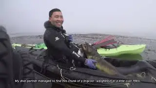 2024 Pacific Coast Championship - California Spearfishing - Central California Spearfishing