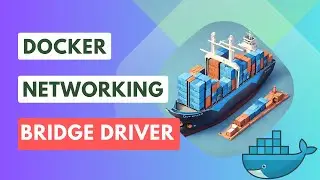 Learn Docker Bridge Network in 16 Minutes