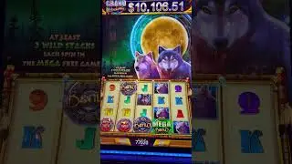 Huge Mega Win! #games #money