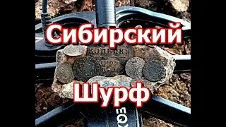 Шурф в Сибири, Сибирские монеты, начали шурфить фундамент
