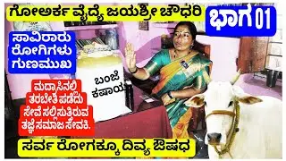 01# ಗೋಅರ್ಕ ವೈದ್ಯೆ||ಶ್ರೀಮತಿ ಜಯಶ್ರೀ ಚೌಧರಿ||ತುಂಬಗಿ ತಾಳಿಕೋಟಿ||Cow Arc medicine||Tumbagi Talikoti VIJAY