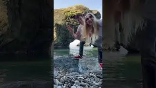 Где в Грузии растут бананы?