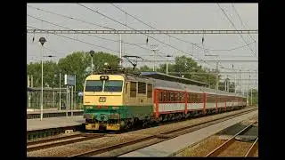 Krysa a Vectron check
