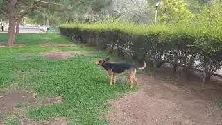 Так дымно здесь, что мне тебя не видно