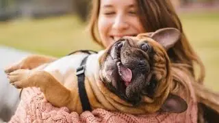 10 Maneiras de Saber que Seu Pet Ama Você